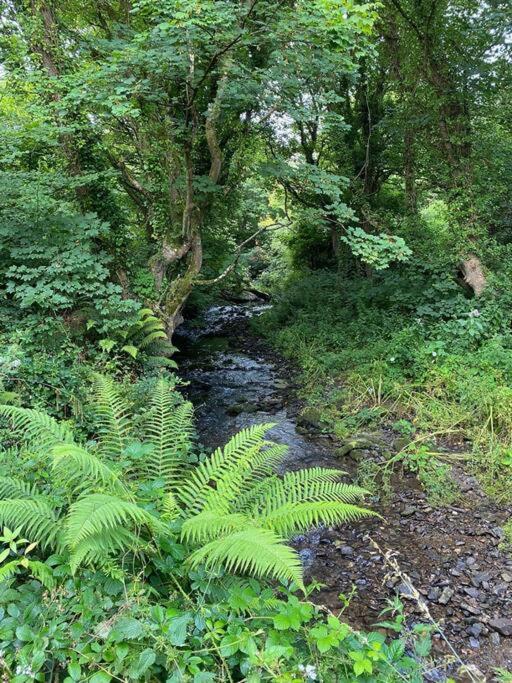 Banc Cottage Moylgrove Luaran gambar